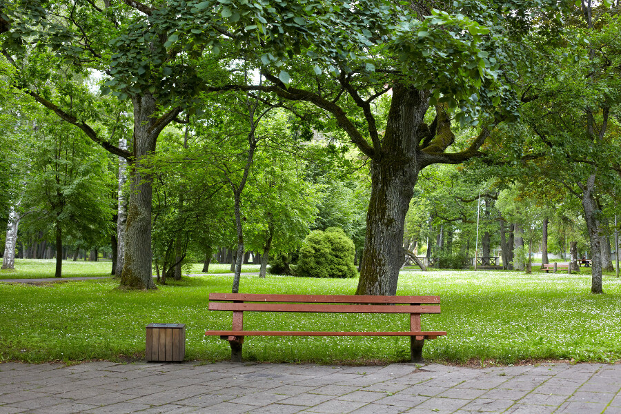 A bench in a park along a walking trail.