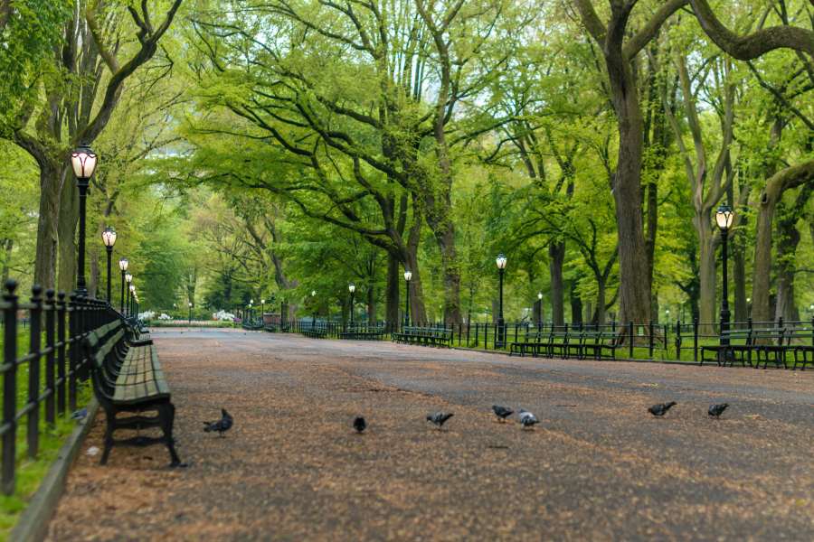 Park view and bench after Austin playground services